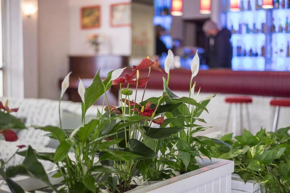 Hotel Venus Bellaria-Igea Marina Zewnętrze zdjęcie